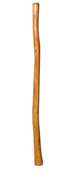 High Gloss Finish Didgeridoo (NW152)